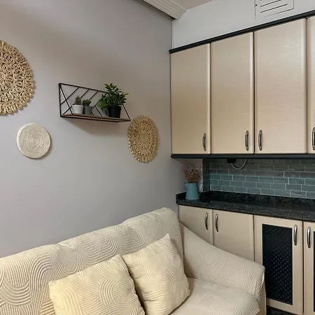 Duplex Centro Leon