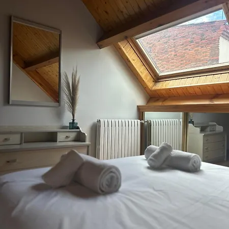 Duplex Centro شقة ليون