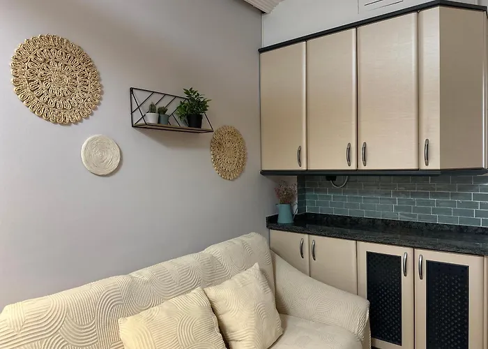 Duplex Centro 레온